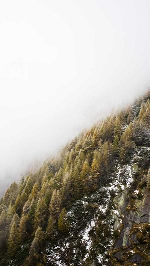 51cg吃瓜网今日吃瓜截图3