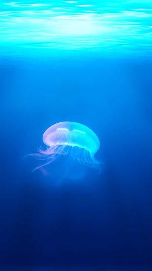 51cg吃瓜网今日吃瓜截图1